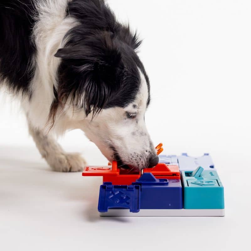 Dog Puzzle Toy - Genius Set Mini